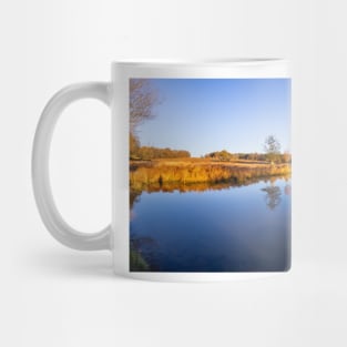 Leg of Mutton Pond in Richmond Park Mug